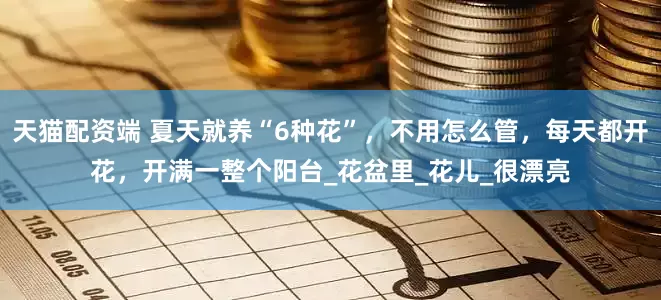 天猫配资端 夏天就养“6种花”，不用怎么管，每天都开花，开满一整个阳台_花盆里_花儿_很漂亮